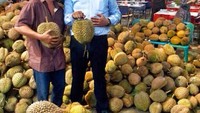Saya dan Pak Ucok, kekenyangan makan Durian Ucok Medan, kata Dino. Wah, suami Rosa Raj Djalal ini nampak mabuk durian. Foto: Instagram dinopattidjalal