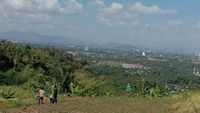 Bukit Korea Spot Foto Kekinian Dengan Latar Bukit Hijau Membentang Di Lombok