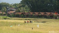VW Camat membawa tamu lalu diurus warga desa, sekaligus VW Wisata mengajarkan bagaimana proses menjadi destinasi wisata (Ahmad Masaul Khoiri/detikcom) 