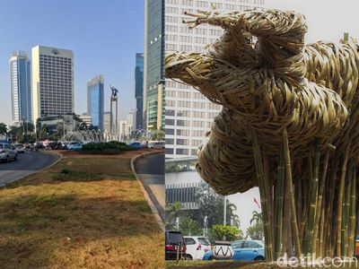 Penampakan Bambu Getah Getih Sebelum dan Sesudah Dibongkar