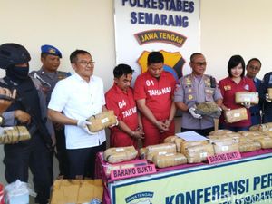 Paket 30 Kg Ganja Disergap Polisi di Tol Semarang