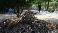 Aktivitas warga tak banyak terlihat di kawasan tersebut pascabentrok antarwarga di Mesuji yang terjadi pada Rabu (17/7/2019) silam.