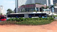 Lokasi bekas seni bambu Getah Getih telah ditanami tumbuhan hias.