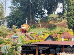 Kembali Menguji Zoom 10x di Oppo Reno