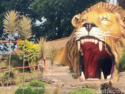 Kembali Menguji Zoom 10x di Oppo Reno