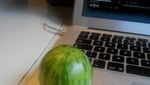 10 Tampilan Buah Saat Menyamar dalam Bentuk Buah Lain
