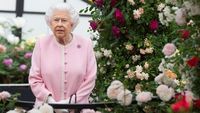 Lagi! Ratu Elizabeth Buka Lowongan untuk Chef Istana Buckingham