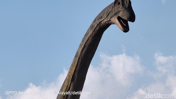 6x. (Foto: Aisyah Kamaliah/detikINET)