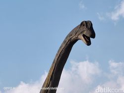 Kembali Menguji Zoom 10x di Oppo Reno