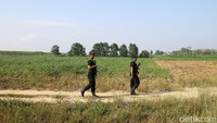 Brimob sempat menunjukkan lokasi rapat kelompok tani Mekar Jaya Abadi sebelum bentrok dengan kelompok tani Mesuji Raya.