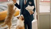 Pose ini sangat lucu, di mana Harry tengah memegang sebuah camilan, tetapi kemudian dikerubutin anjing-anjing lucu yang seakan menginginkan camilan Harry. Foto: Istimewa
