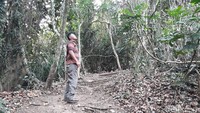 Untuk rutenya sendiri terbilang mudah, pengunjung hanya perlu mengikuti jalur menuju ke Puncak Becici. (Pradito Rida Pertana/detikcom)