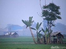 Bandung Raya Sepekan: Munculnya Fenomena Bandung Tiris