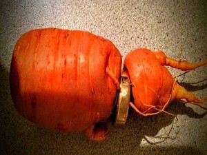 Hilang 3 Tahun, Pria Ini Temukan Cincin Kawinnya Ada di Wortel