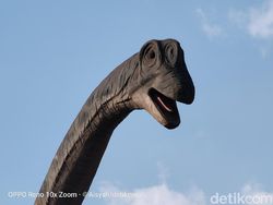 Kembali Menguji Zoom 10x di Oppo Reno