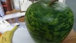 10 Tampilan Buah Saat Menyamar dalam Bentuk Buah Lain