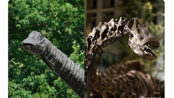 FaceApp kebablasan, dinosaurusnya jadi fosil. Foto: Twitter