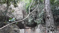Kabupaten Bantul di Provinsi DI Yogyakarta menyimpan beraneka jenis tempat wisata. Salah satunya mata air Sendang Bengkung di Kecamatan Dlingo. (Pradito Rida Pertana/detikcom)