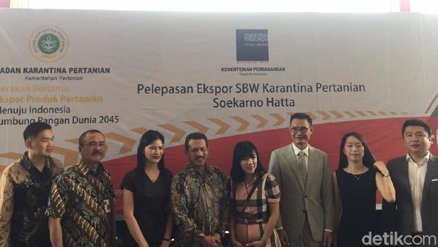 RI Ekspor Sarang Burung Walet Rp 500 Miliar ke China