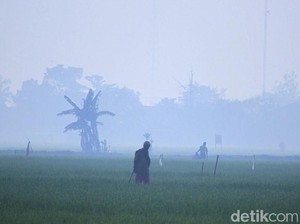 Udara di Bandung Raya Lebih Dingin, Ini Penjelasan BMKG