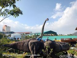 Kembali Menguji Zoom 10x di Oppo Reno