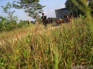 Pascabentrok di Mesuji, Perbatasan Lampung-Sumsel Kondusif