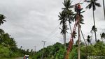 Menengok Perbaikan Listrik di Halmahera Pascagempa