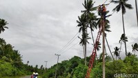 Hingga hari ini (19/7/2019) atau H+5 pasca bencana gempa tersebut, PLN telah memulihkan 99 % sistem kelistrikan di lokasi-lokasi yang terdampak gempa.