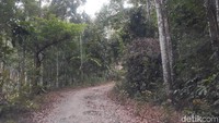 Sendang Bengkung berada di Dusun Cempluk, Desa Mangunan, Kecamatan Dlingo, Kabupaten Bantul. Jaraknya 20 km dari pusat Kota Yogyakarta. (Pradito Rida Pertana/detikcom)