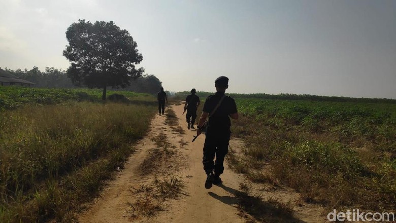 Bawa Senjata Lengkap, Brimob Telusuri Lagi Lokasi Bentrok di Mesuji Bawa Senjata Lengkap, Brimob Telusuri Lagi Lokasi Bentrok di Mesuji