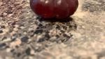 10 Tampilan Buah Saat Menyamar dalam Bentuk Buah Lain