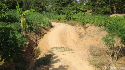 Ini Lokasi Bentrok Antarwarga di Mesuji
