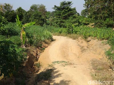 Ini Lokasi Bentrok Antarwarga di Mesuji