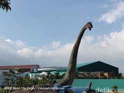 Kembali Menguji Zoom 10x di Oppo Reno