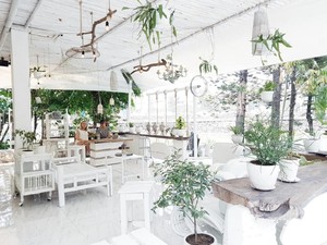 Berkonsep Serba Putih, 5 Kafe Instagenik di Jakarta Ini Bisa Jadi Tempat Nongkrong