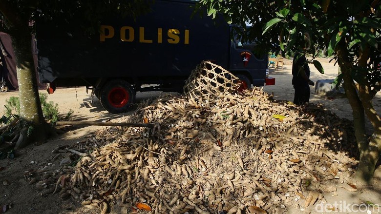 Polisi Kantongi Nama-nama Terduga Pelaku Bentrok di Mesuji Polisi Kantongi Nama-nama Terduga Pelaku Bentrok di Mesuji