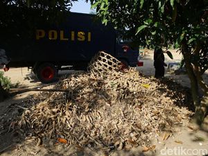 Polisi Kantongi Nama-nama Terduga Pelaku Bentrok di Mesuji