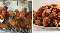 Kira-kira yang mana tumpukan ayam goreng berbalut tepung renyah, dan anak anjing yang berwarna senada ini? Foto: Boredpanda