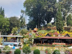 Kembali Menguji Zoom 10x di Oppo Reno