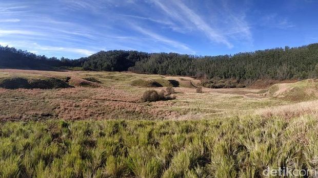 Padang sabana di Pangonan, Dieng sering muncul embun es saat ini.