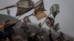 Melihat Ritual Kasada, Larung Sajen di Gunung Bromo
