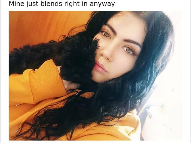 Anjing mungil ini sampai nyaru dengan rambut pemiliknya, karena warna rambut dan bulu mereka sama persis. Foto: Twitter