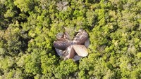 Luum temple ini juga akan dijadikan sebagai sarana olahraga seperti yoga, meditasi, workshop dan pertemuan komunitas pencinta alam. Inhabitat-CO-LAB Design Office.