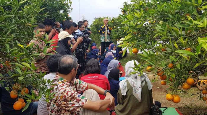 Foto: Kementan Foto: Kementan