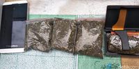 Polisi Tangkap Warga Pemilik Taman Ditanami 32 Pot Ganja di Bandung