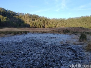 Selain di Dieng, Embun Es di Bukit Pangonan Jauh Lebih Tebal