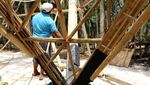 Bambu Juga Bisa Dibuat Jadi Rumah Lho, Ini Buktinya