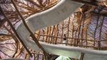 Bambu Juga Bisa Dibuat Jadi Rumah Lho, Ini Buktinya