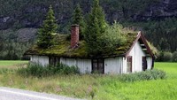 Ini penampakan rumah pohon sesungguhnya. Istimewa/Boredpanda.