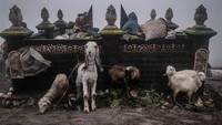 Saat iring-iringan warga suku Tengger ke kawah inilah menjadi daya tarik wisatawan lokal dan mancanegara.